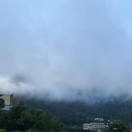 Ana'S Cosy Home In Borjomi Center Екстериор снимка