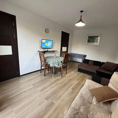 Ana'S Cosy Home In Borjomi Center Екстериор снимка
