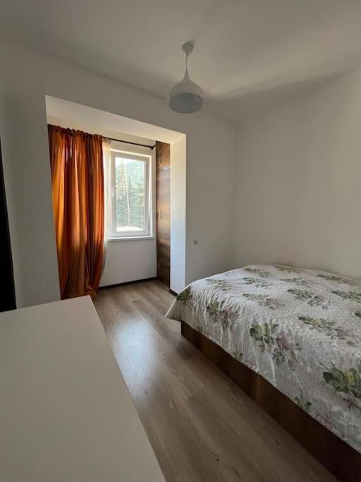Ana'S Cosy Home In Borjomi Center Екстериор снимка