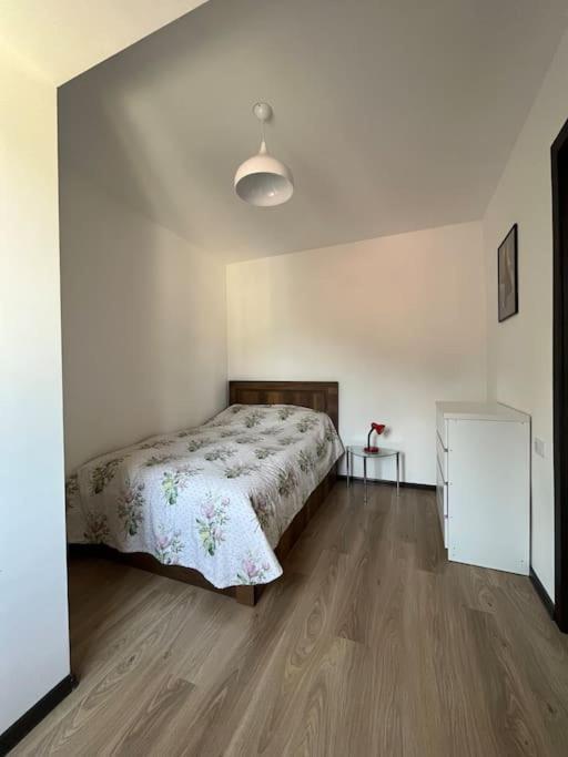 Ana'S Cosy Home In Borjomi Center Екстериор снимка