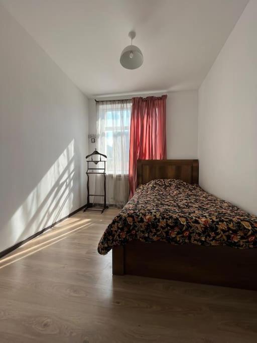 Ana'S Cosy Home In Borjomi Center Екстериор снимка
